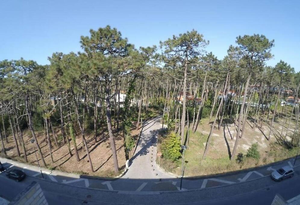 Sea And Pinewood Ofir Apartment Fão Extérieur photo